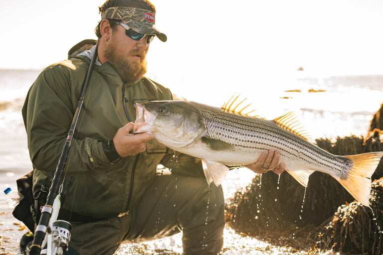 Striped Bass Surf Fishing LS Image | Penn®