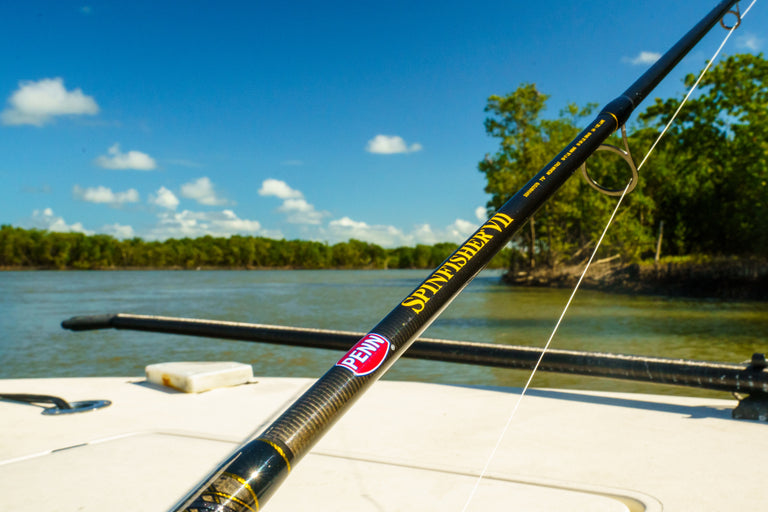 Bean Sportfishing LS Spinfisher Image | Penn®