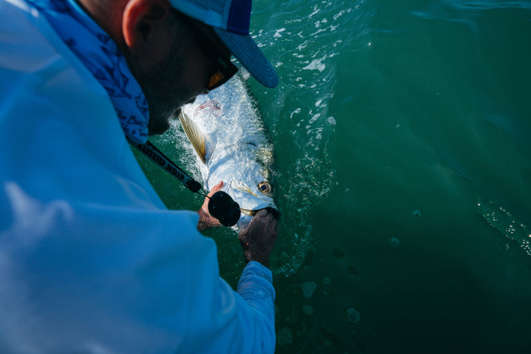 Tarpon At Boat Image | Penn®