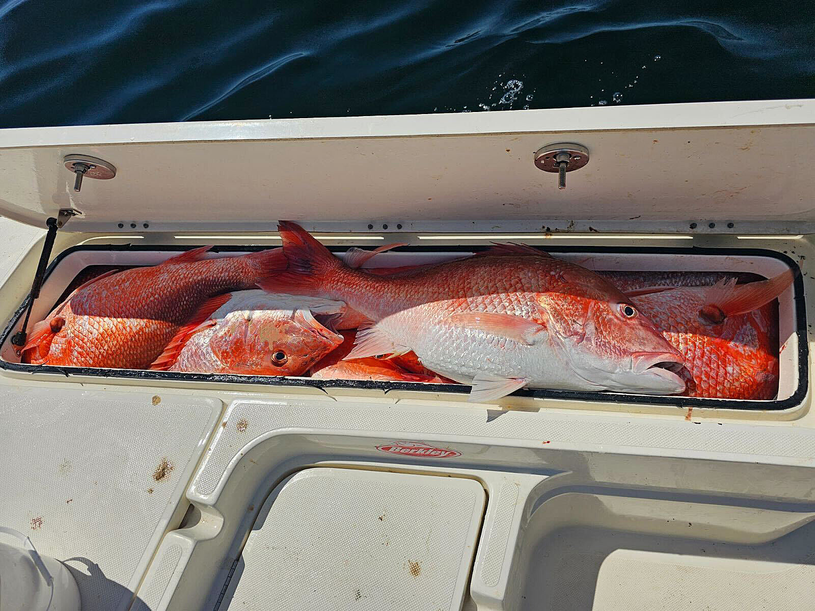 A METHOD TO ALL THE SNAPPER MADNESS