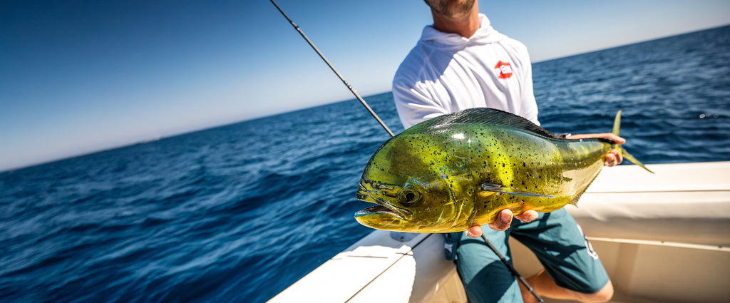 Mahi Desktop Banner Gift Guide | Penn®