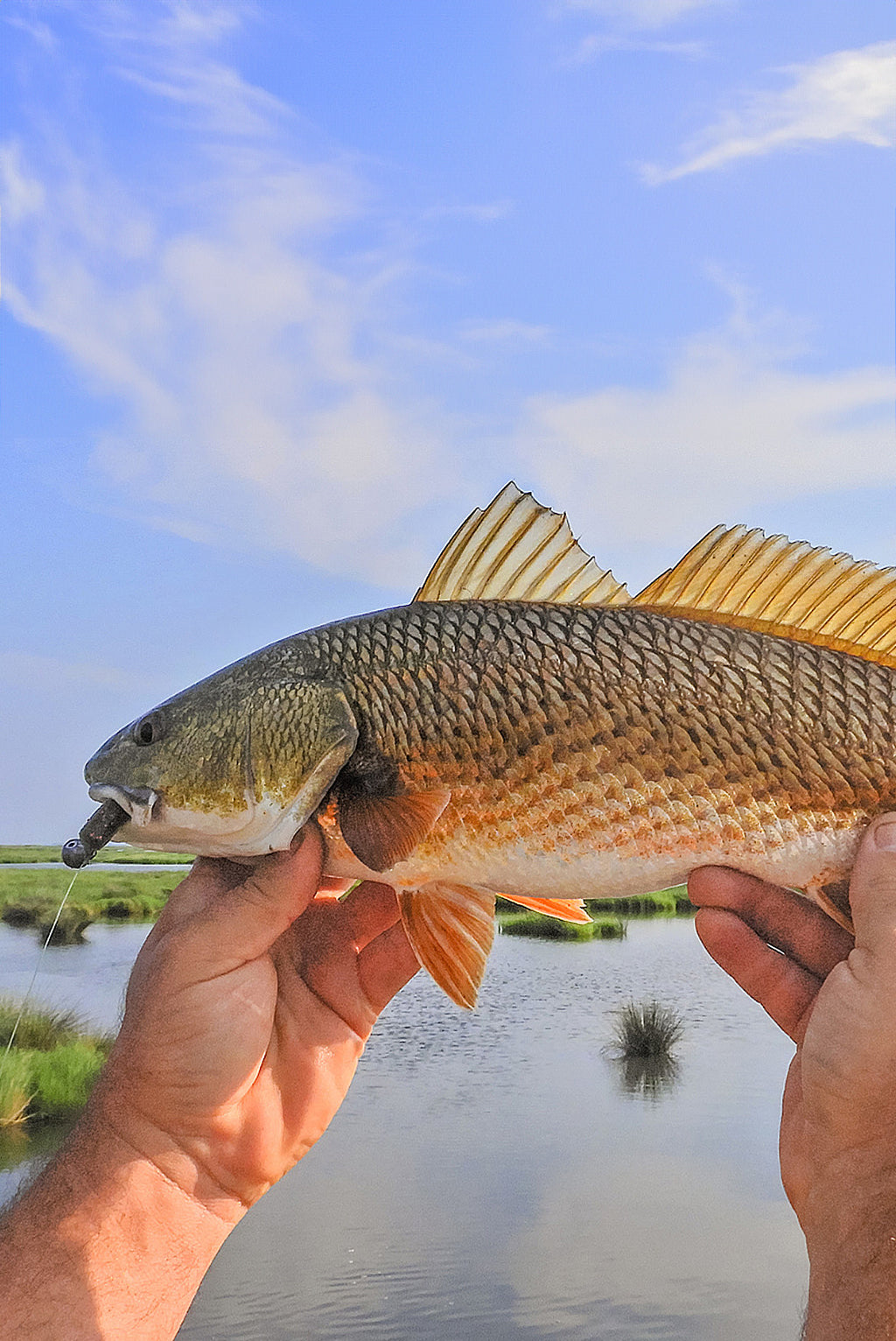 Capt. Tommy Pelegrin Redfish Mobile Hero | Penn®