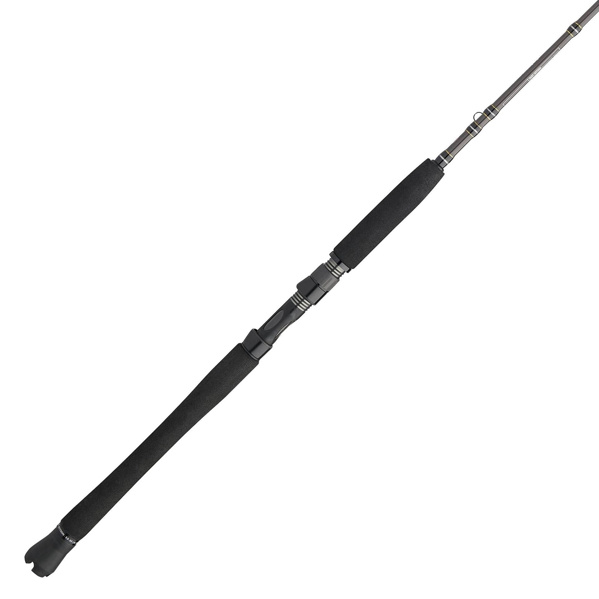 Carnage™ III Inshore Casting Rod