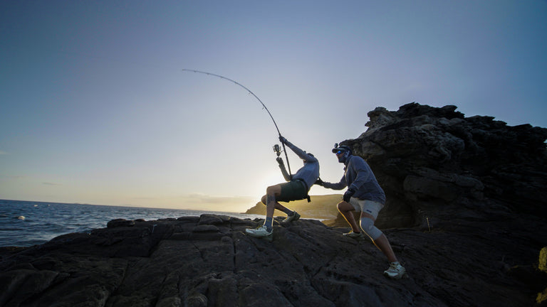 Malosi® Square Video Still Bent Rod Reeling | Penn®