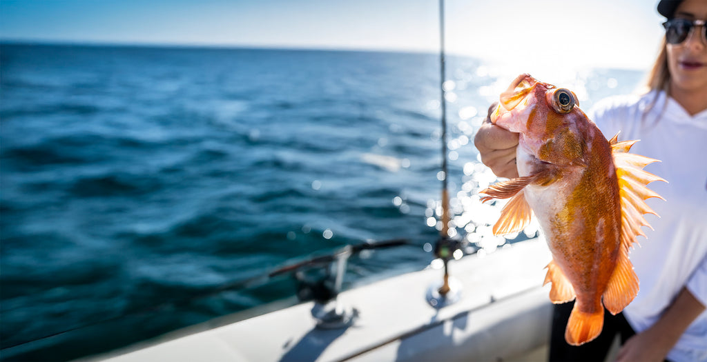 Rockfish Desktop Banner Gift Guide | Penn®