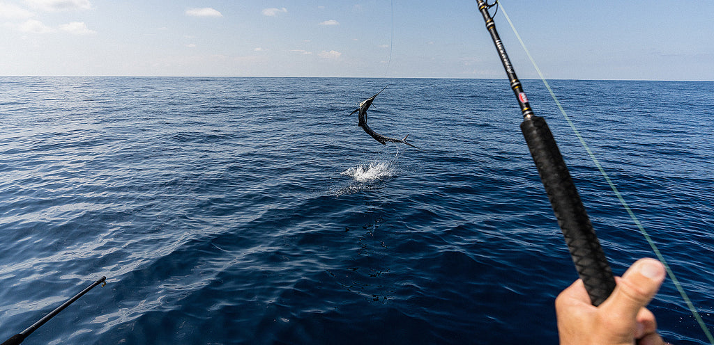 Billfish Desktop Banner Gift Guide | Penn®