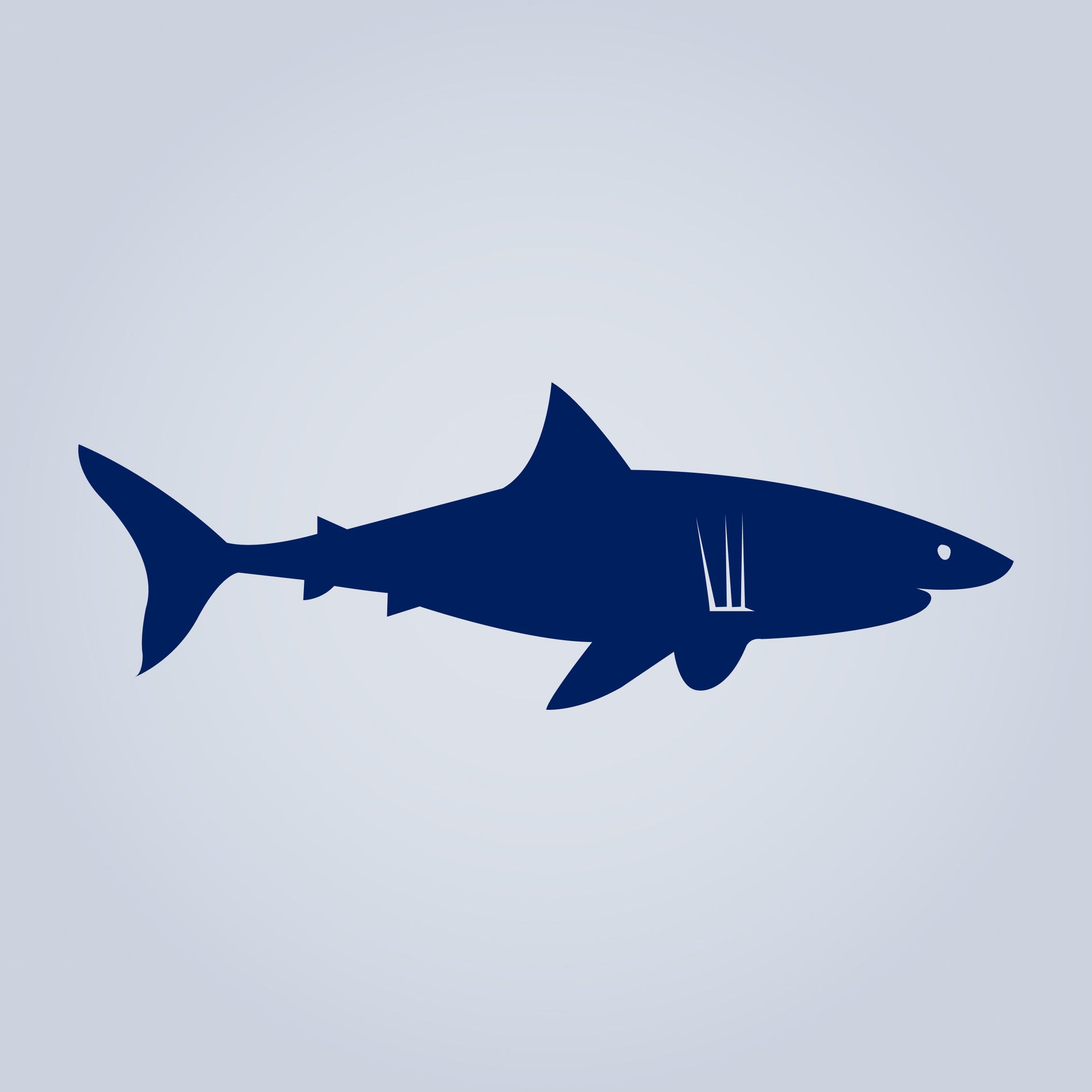Shark Icon Blue | Penn®