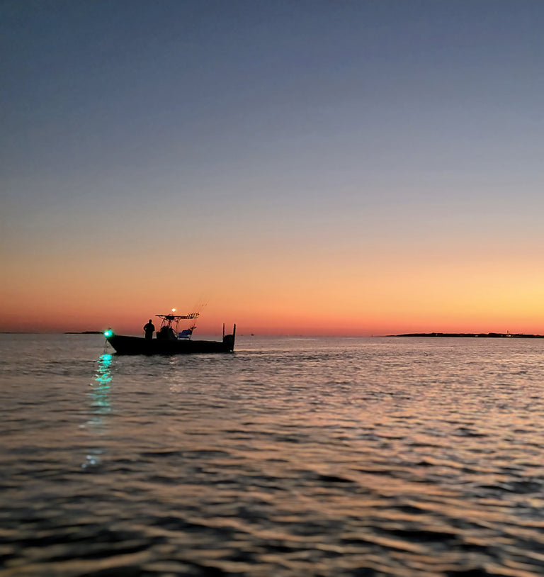 Green Light at Sunrise