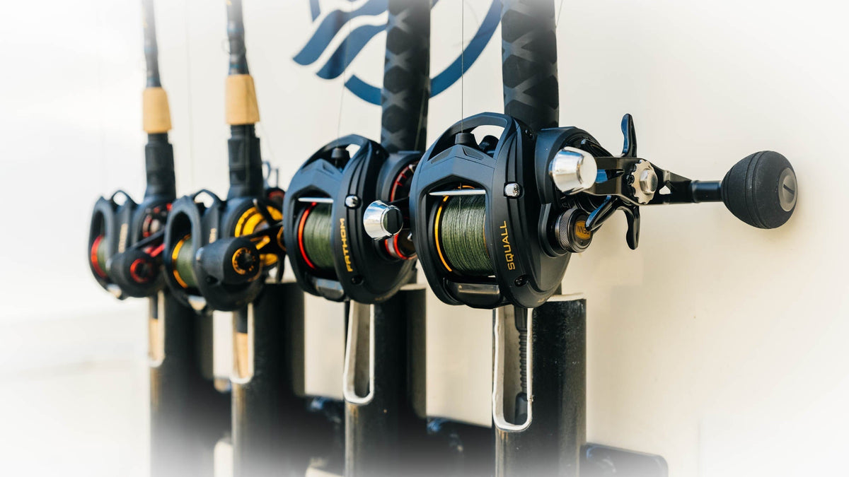 penn squall best low profile saltwater baitcaster