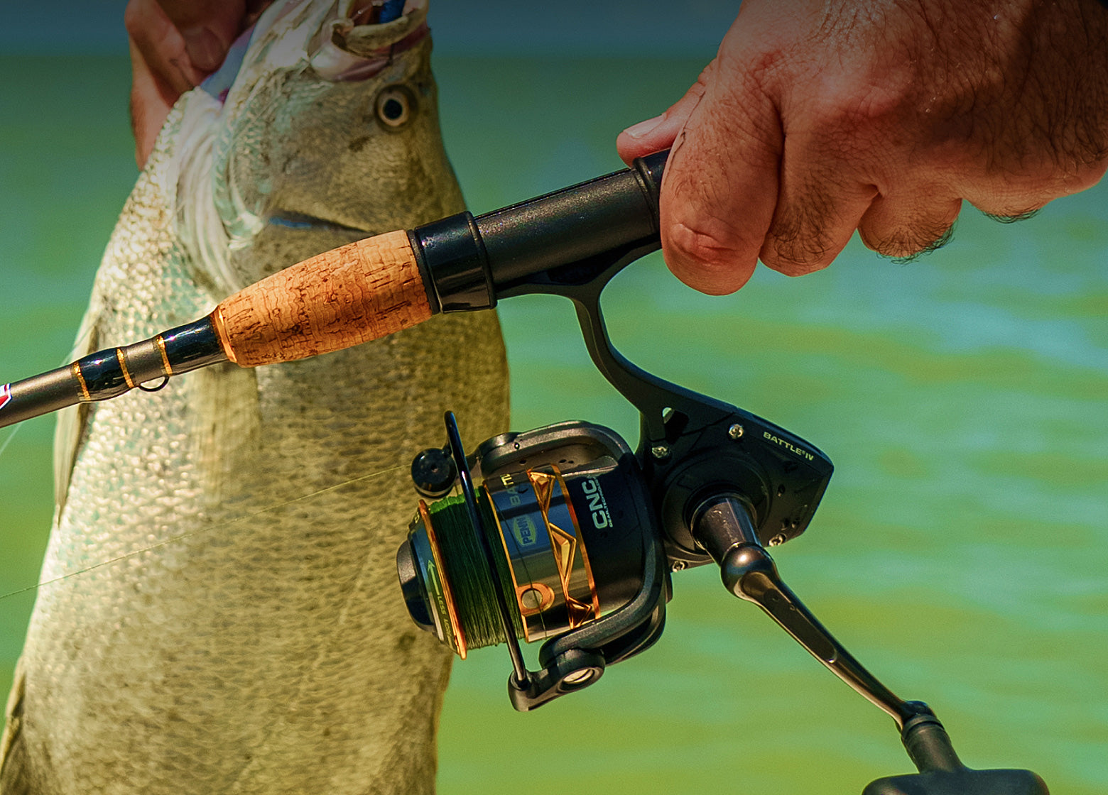 PENN Saltwater Fishing Gear, Fishing Tackle & Supplies