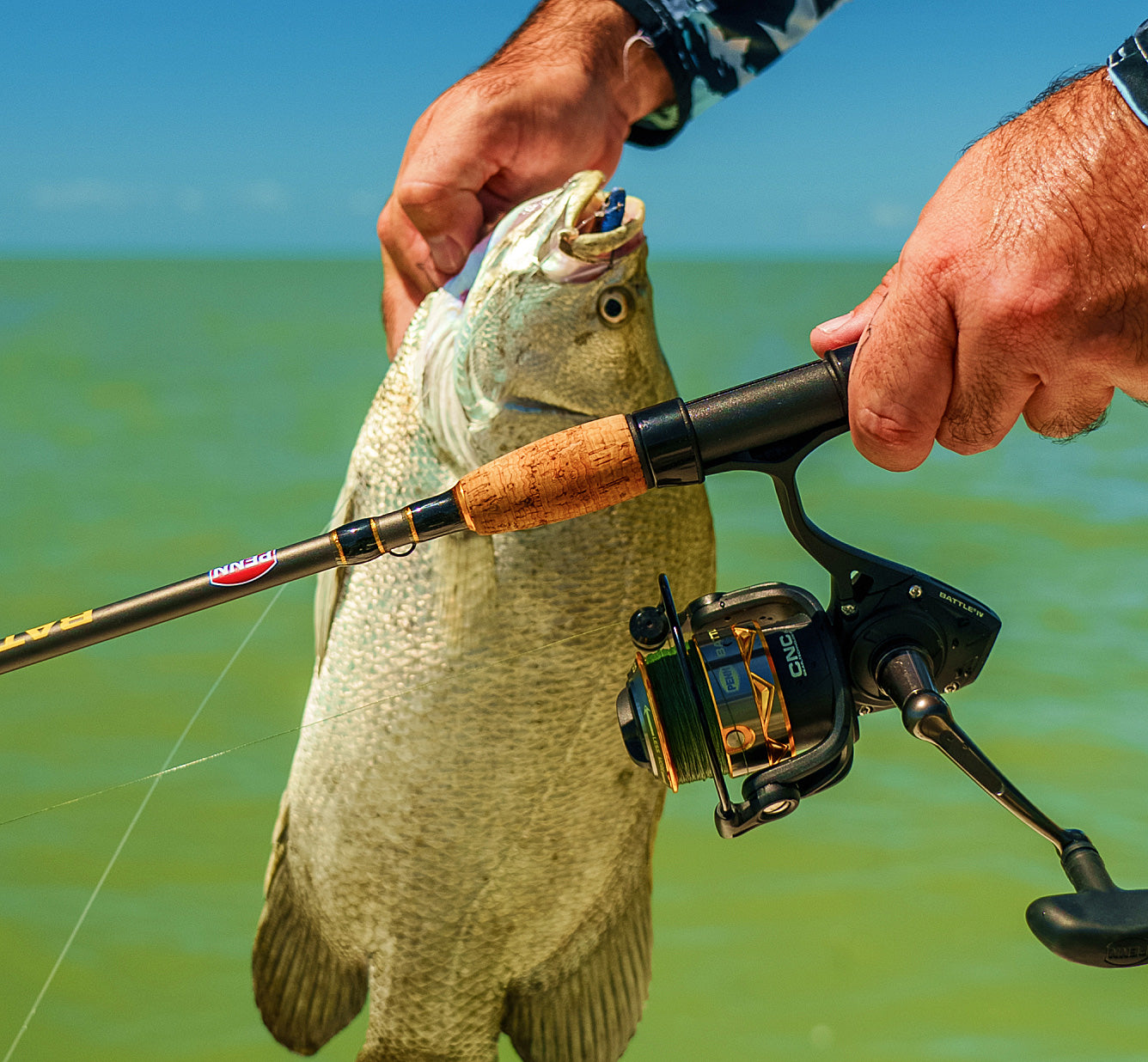 PENN Authority® Spinning Reels - PENN Fishing ®️ US