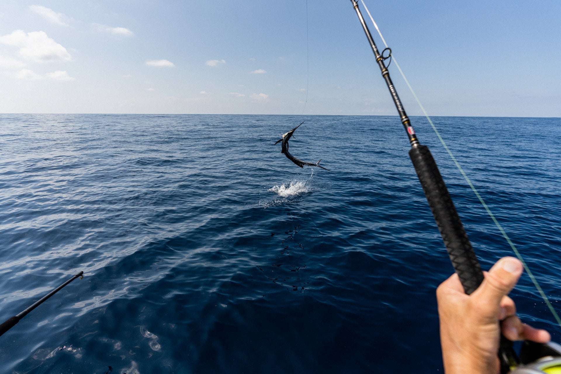 Carnage III Rod pulling fish out of water