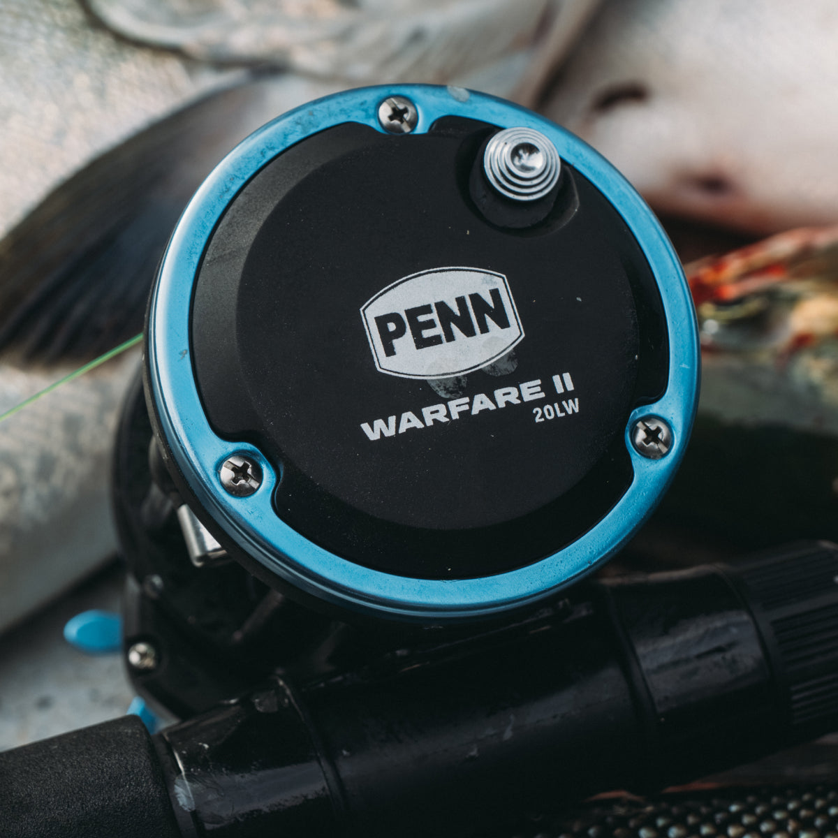 Discounts on Saltwater Gear | PENN Fishing®️ US