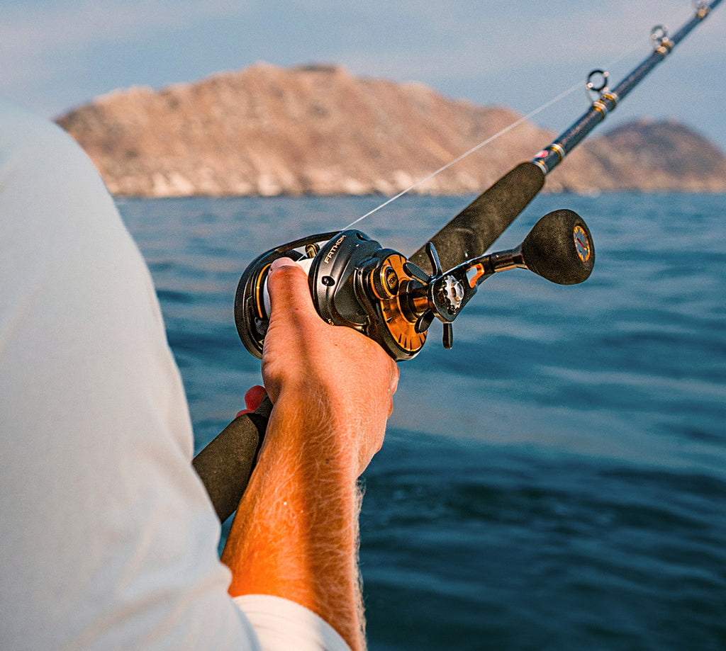 Hand holding a fishing reel with a scenic background of water and mountains.