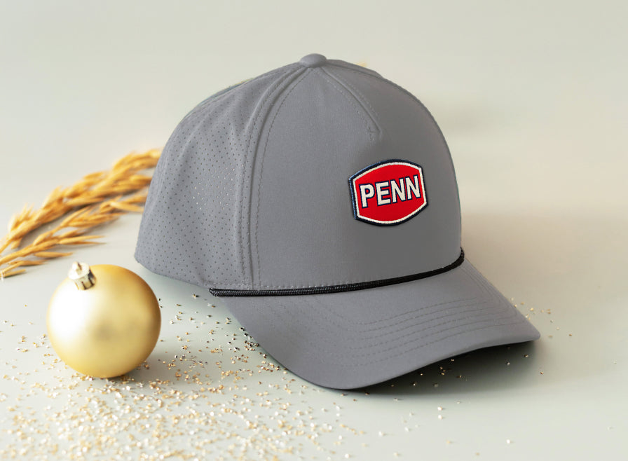 Gray cap with a red and white 'PENN' logo on a light background