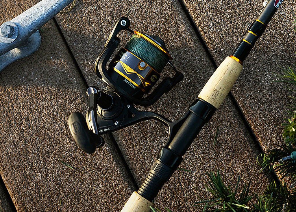 Combo laying on a dock