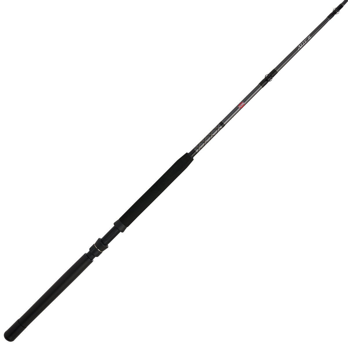 Ally Rod Ally™ II Conventional Boat Rod