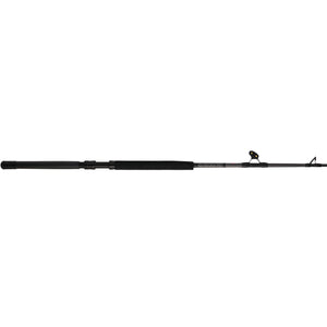 PENN Ally™ II Boat Conventional
