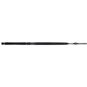 PENN Ally™ II West Coast Conventional