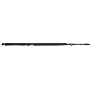 PENN Ally™ II West Coast Conventional