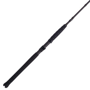 PENN Battalion® II Inshore Casting
