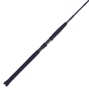 PENN Battalion® II Inshore Spinning