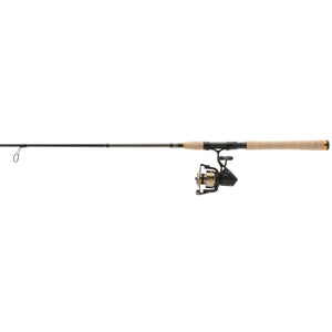 PENN Battle® IV Spinning Combo