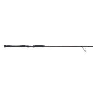 PENN Carnage® III Inshore Spinning