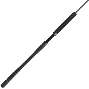 PENN Carnage® III Jig Spinning