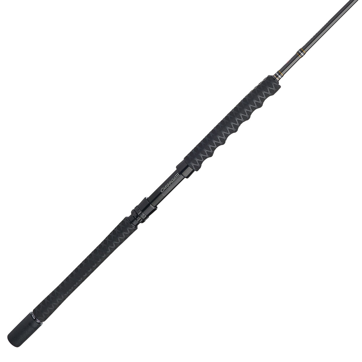 Penn CARJGIII80200S60 Carnage III Jig Spinning Rod