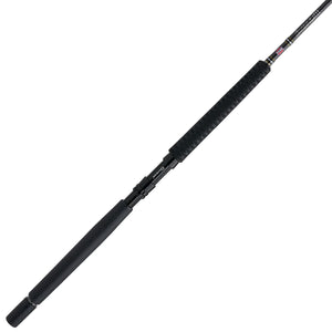 PENN Carnage® III Offshore Conventional