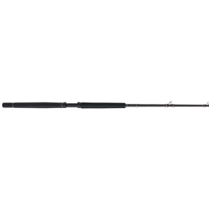 PENN Carnage® III Offshore Conventional