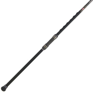 PENN Carnage® III Surf Spinning