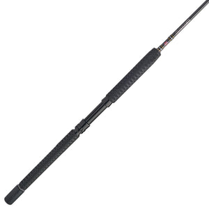 PENN Carnage® III Boat Conventional