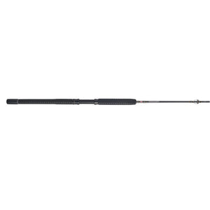 PENN Carnage® III Boat Conventional