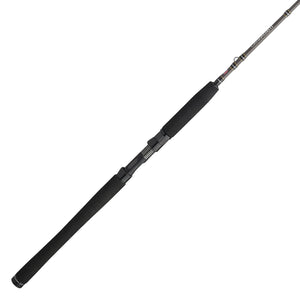 PENN Carnage® III Inshore Casting