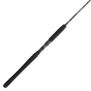PENN Carnage® III Inshore Casting