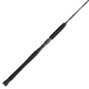 PENN Carnage® III Inshore Casting