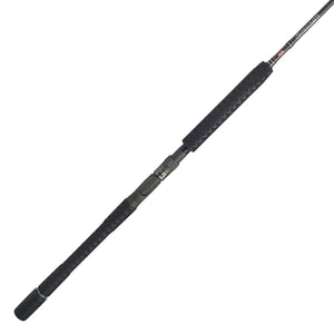 Penn Carnage III Jig Conventional Rod