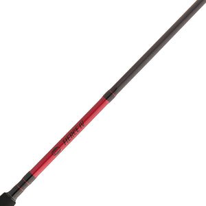 PENN Fierce® IV Spinning Combo