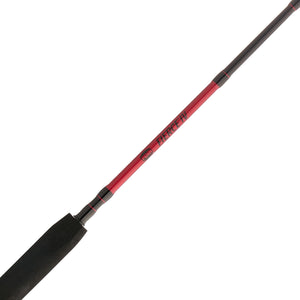 PENN Fierce® IV Spinning Combo