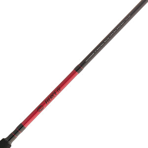 PENN Fierce® IV Spinning Combo