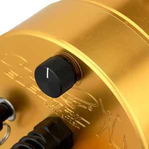 PENN International® VI Electric Detachable
