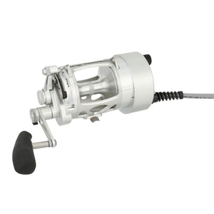 PENN International® VI Electric Standard