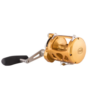 Penn International VI Conventional Fishing Reel, Size: 30VIW, Gold