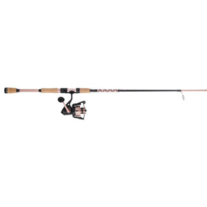 PENN Passion® II Spinning Combo