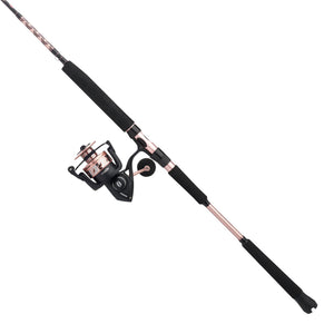 PENN Passion® II Spinning Combo