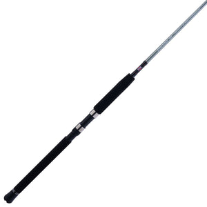 PENN Prevail® III Boat Spinning