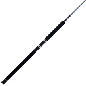 PENN Prevail® III Boat Spinning