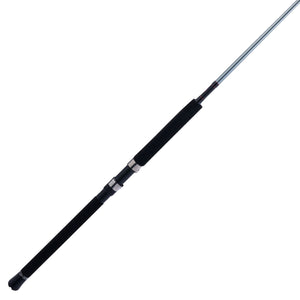 PENN Prevail® III Boat Spinning